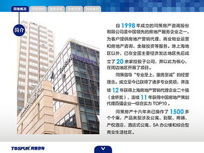 房地产咨询服务 赋能决策，驱动价值