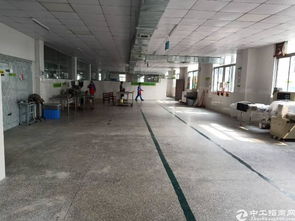 龙岗原房东食品厂楼上两层3200平出租 适合加油站经营